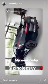 Zinoleesky car 2021