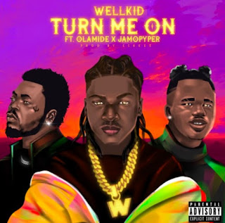 Download Turn Me On By Wellkid Ft Olamide And Jamopyper Mp3 With Lyrics