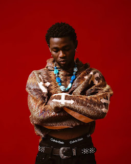 Omah Lay Biography, Education, Early Life, House, Songs, Girlfriend, Cars, and Net Worth 2026
