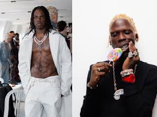 Between Rema and Seyi Vibez: Who Is The Richest in 2026?